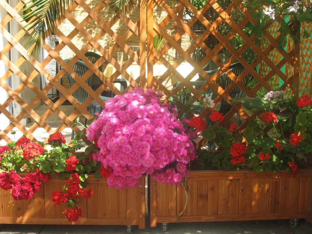 Apartament Casa Etna-Mare Santa Venerina Pokój zdjęcie